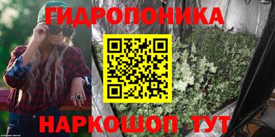 мяу мяу кристалл Аша