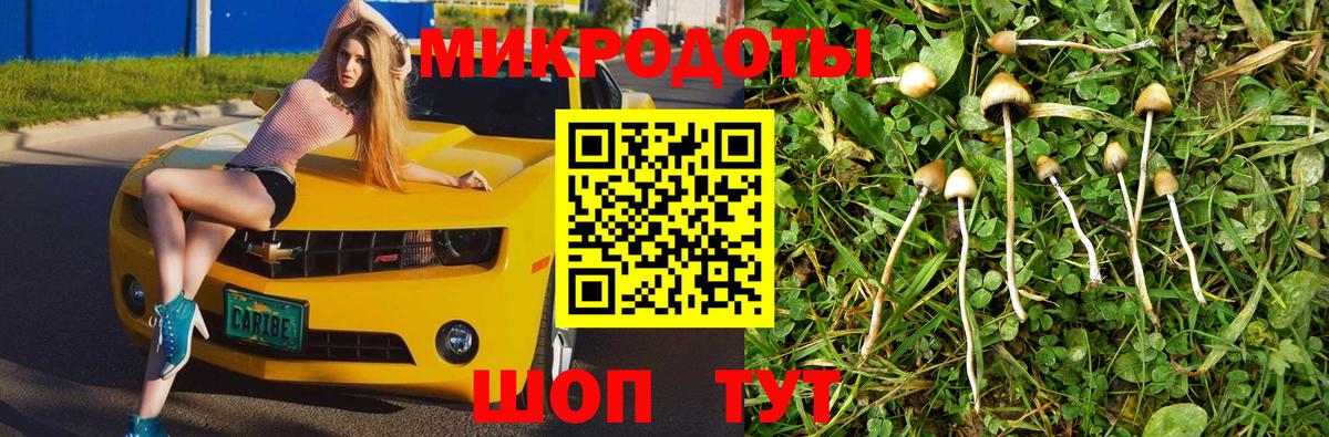 Псилоцибиновые грибы Psilocybine cubensis  хочу наркоту  Топки  Вход с VPN 