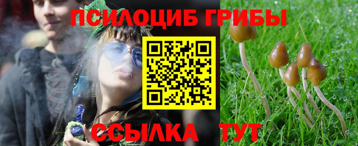 Псилоцибиновые грибы MAGIC MUSHROOMS Топки